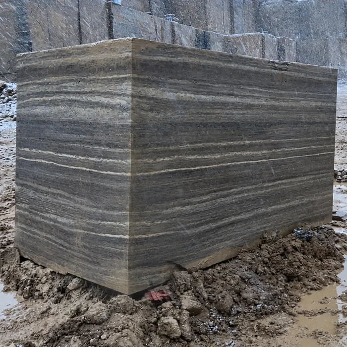 Titanium Travertine